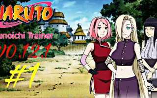 Как установить мод kunoichi trainer