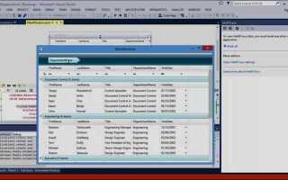 Как очистить datagrid c wpf