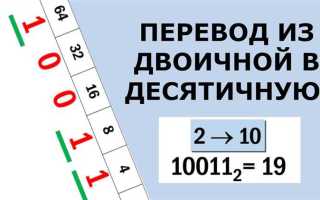 Какое десятичное число является эквивалентом двоичного числа 11111111