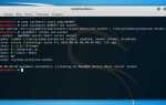 Как подключиться к интернету kali linux