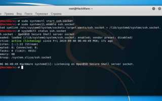 Как подключиться к интернету kali linux