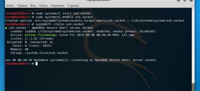 Как подключиться к интернету kali linux