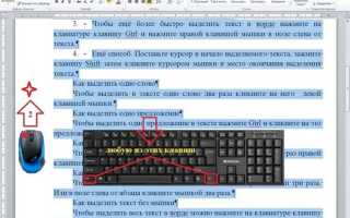 Как копировать выборочно из текста