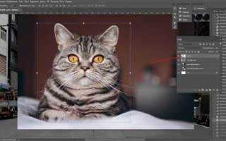 Как выделить слой в фотошопе