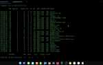 Aircrack ng как пользоваться kali linux