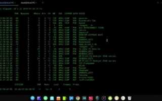 Aircrack ng как пользоваться kali linux