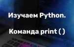 Как выглядит комментарий в языке программирования python