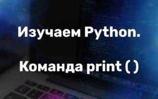 Как выглядит комментарий в языке программирования python