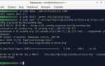 Как установить wine на linux debian