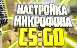Как включить микрофон в кс го