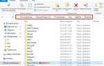 Opera software что это за папка