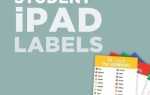 User label primary ipad что это