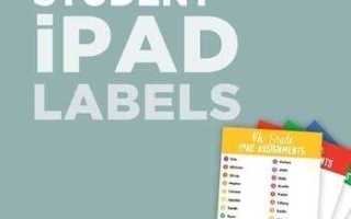 User label primary ipad что это
