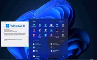 Windows 11 какие версии есть
