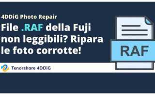 Формат raf фуджи чем открыть