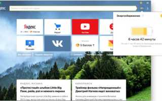 Yandexbrowser application что можно удалить