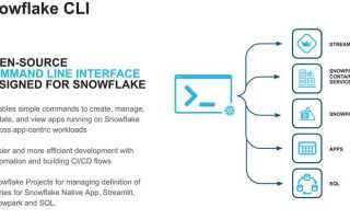 Snowflake client exe что это