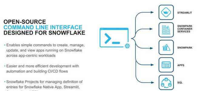 Snowflake client exe что это