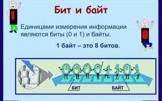 Посчитай сколько байт информации содержит 40 бит