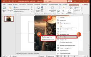 Как отзеркалить картинку в powerpoint