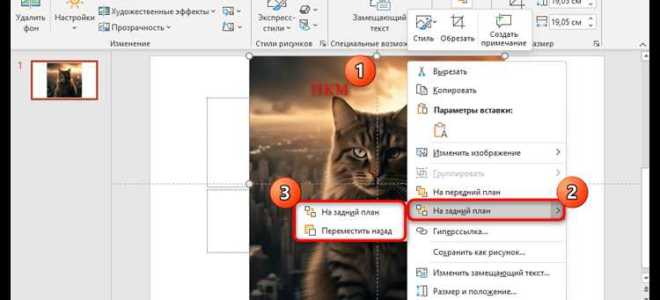 Как отзеркалить картинку в powerpoint
