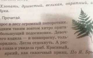 Как разделить текст горизонтальной чертой