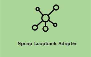 Npcap loopback adapter что это