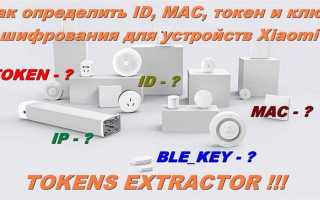 Где посмотреть токен ключ авторизации