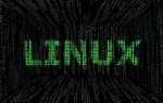 Nexus что это в программировании