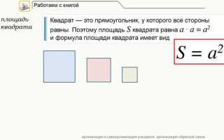 Сколько чисел необходимо ввести для вычисления площади прямоугольника