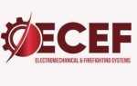 Ecef process что за папка