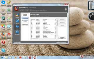 Как сделать чтобы ccleaner не удалял пароли