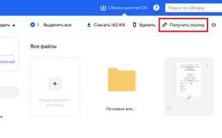 Как отправить ссылку на файл