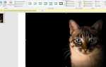 Как вытащить фон из презентации powerpoint