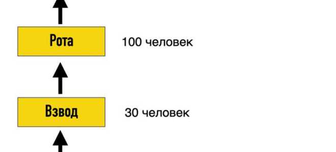 Как распределяют по отрядам в лагерях