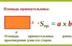 Что больше периметр или площадь