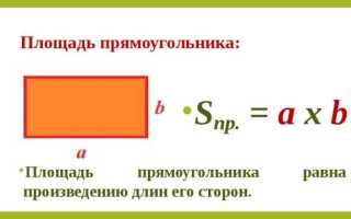 Что больше периметр или площадь