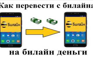 Как перевести с баланса билайн на карту тинькофф