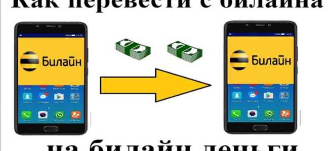 Как перевести с баланса билайн на карту тинькофф