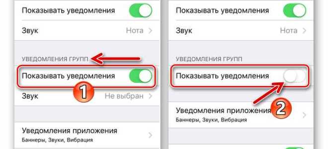 Как включить диктовку на айфоне в ватсапе