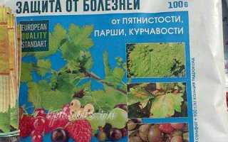 Бордосская смесь забивает опрыскиватель что делать