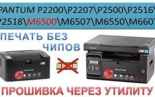 Pantum status monitor что это