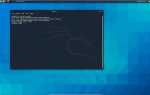 Kali linux как войти в root