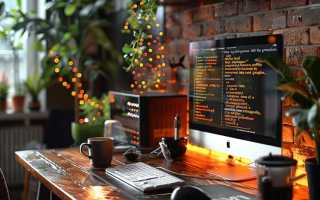 Lead developer кто это