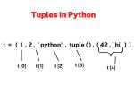 Tuple python что это