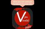 Vpn vivaldi browser как включить