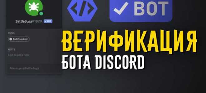 Как узнать код бота в дискорде