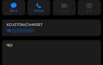 X custom charset что это