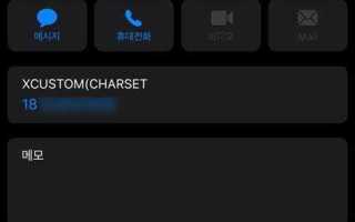 X custom charset что это
