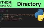 Dir python что это